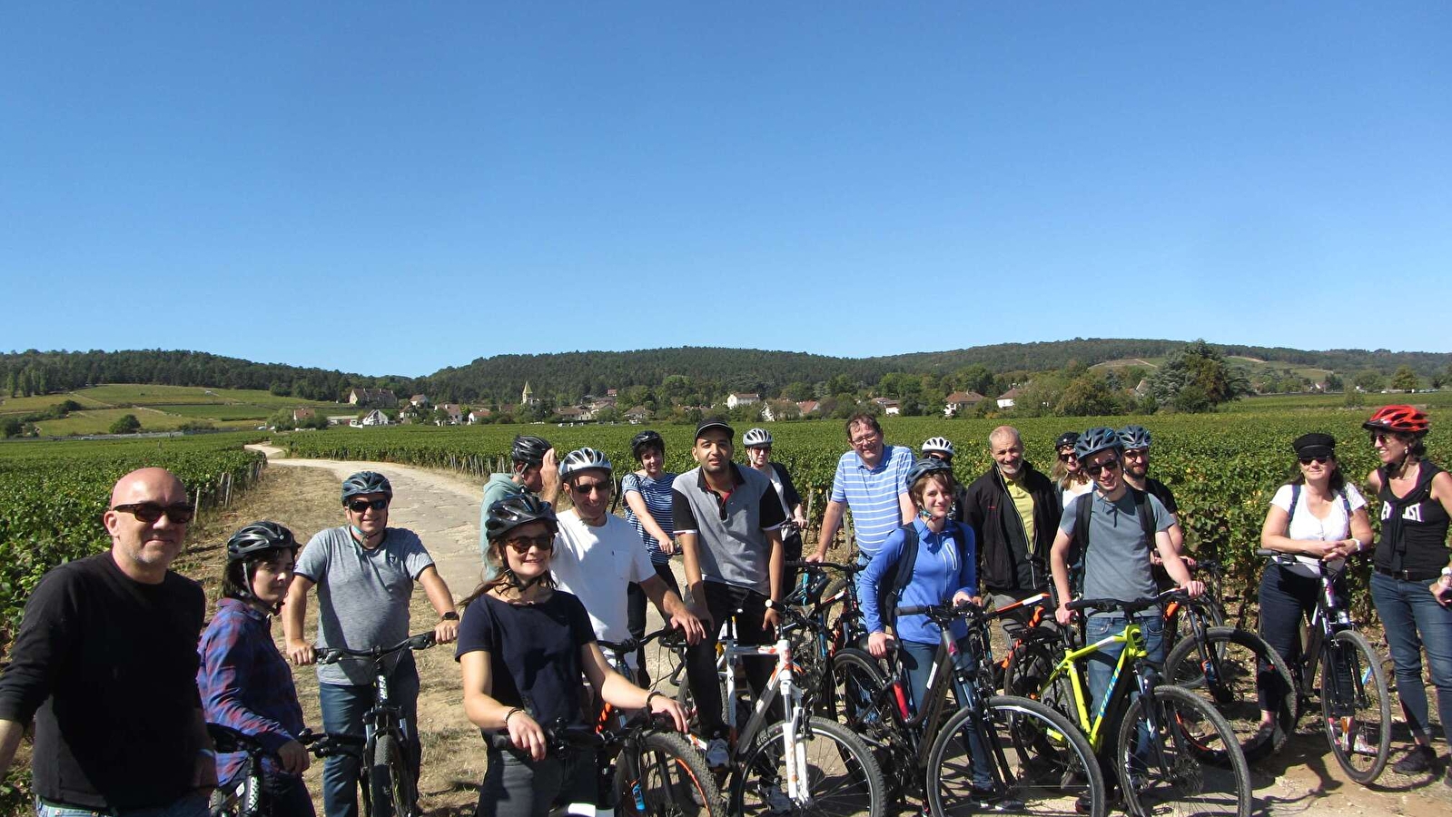 Balade à vélo dans les Crémants de Bourgogne