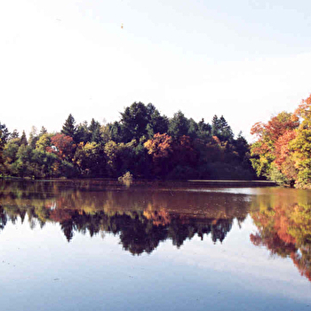 Entre Audour et col de Rôvres - DOMPIERRE-LES-ORMES