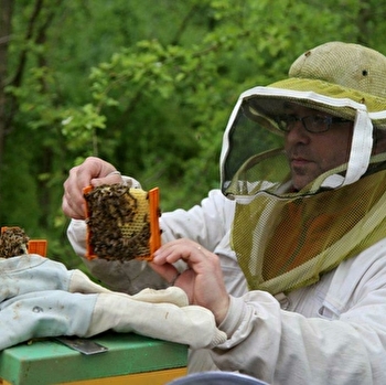 Le Rucher du Dje - AUMONT