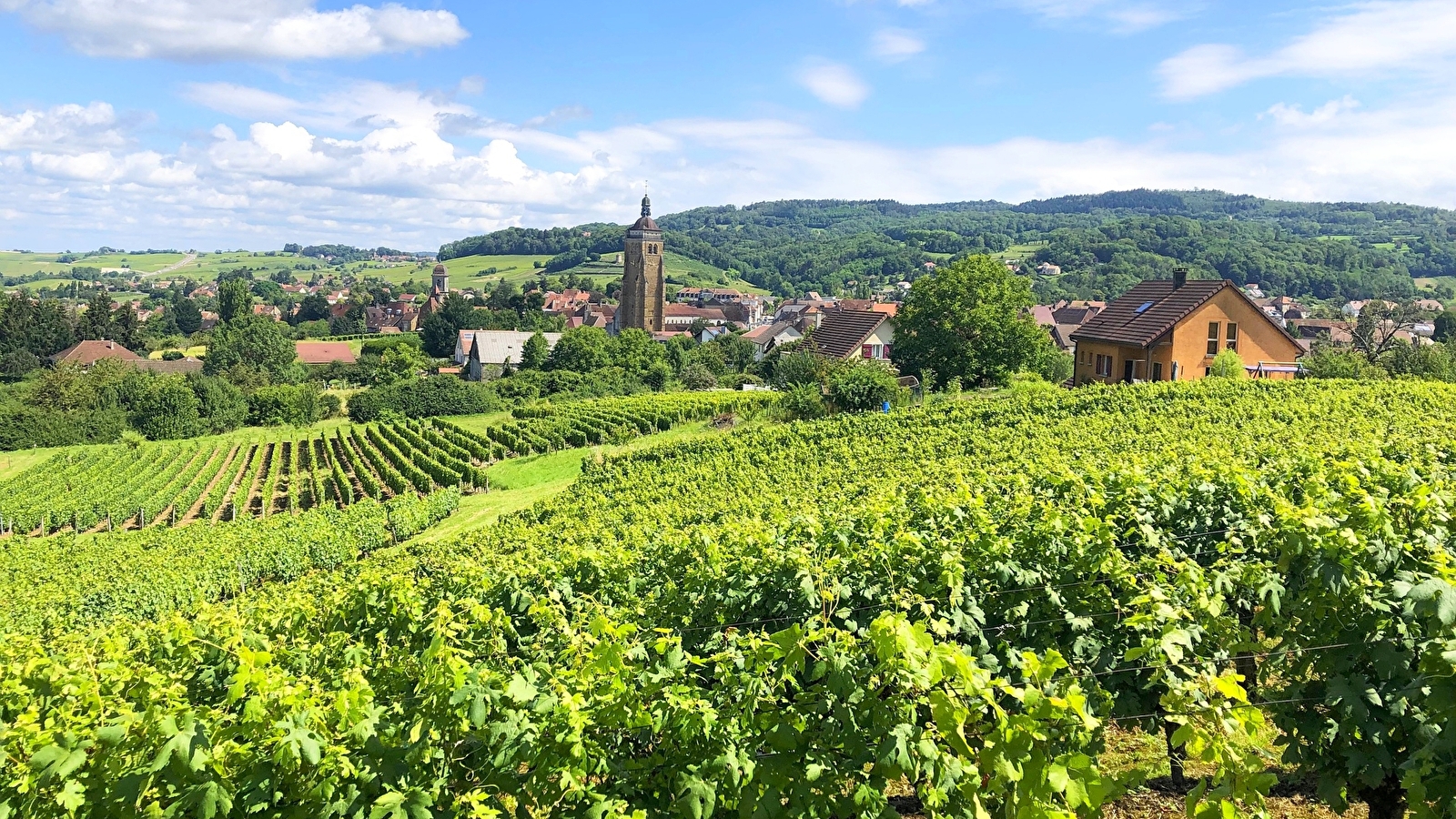 Circuit des Arces - 11V